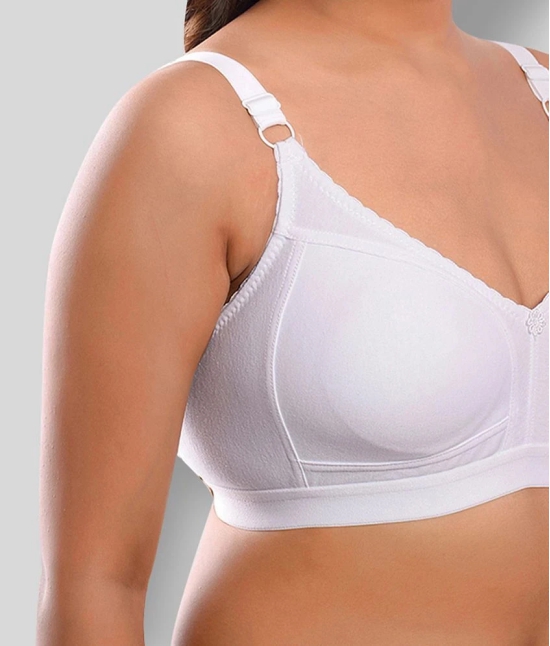 Elina - Multicolor Cotton Non - Padded Womens T-Shirt Bra ( Pack of 2 ) - 40D