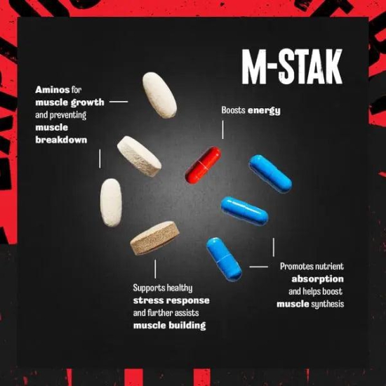 Animal M-Stak 21