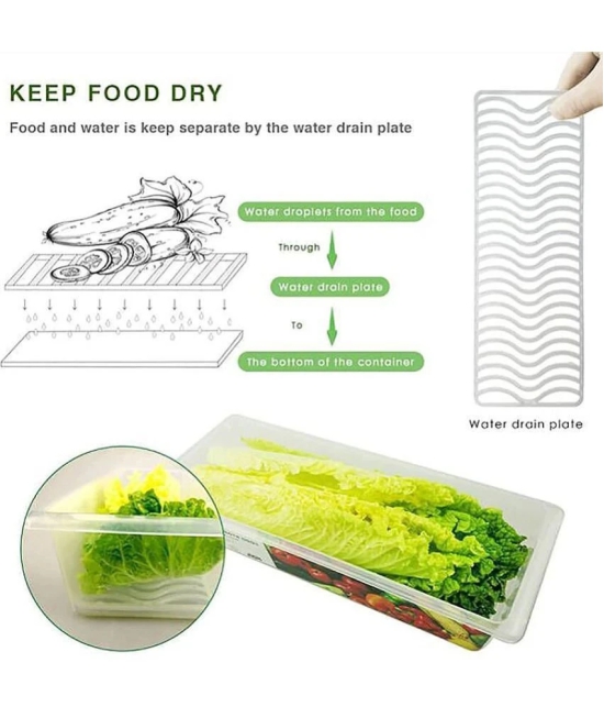 Food Storage Fridge Container For Fish,Meat,Egg And Vegetable Storage  1500 Ml Fish and Egg Plastic Food Container Set of 2 1500 mL - Transparent