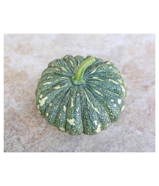 AllThatGrows Pumpkin, Kaddu Vegetable Winter Squash Seeds - Pack of 20