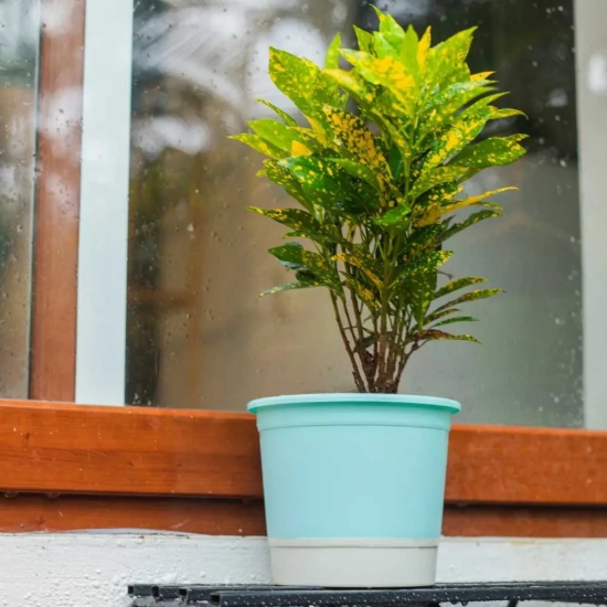 Self Watering Plastic Pot