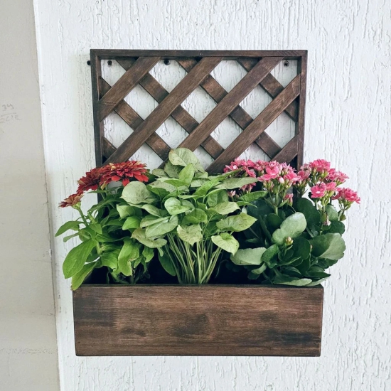 BARISH - Wall Mounted Planter - Single Square | Handcrafted with Rubberwood | Indoor Planter Frame with Stand 18 x 14 x 6 Inches