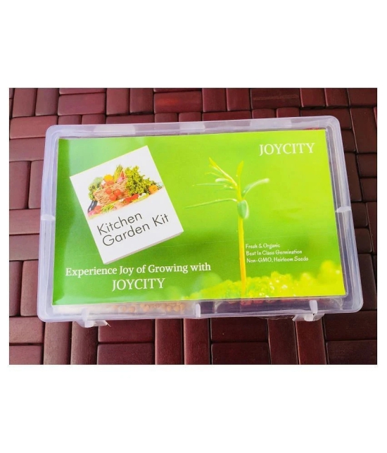 Joycity Sunflower Organic Seeds- 50+ Seeds