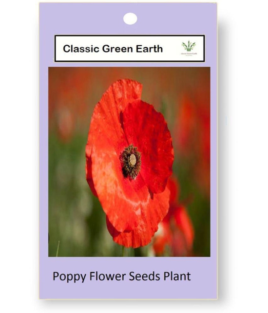 CLASSIC GREEN EARTH - Poppy California Flower ( 60 Seeds )