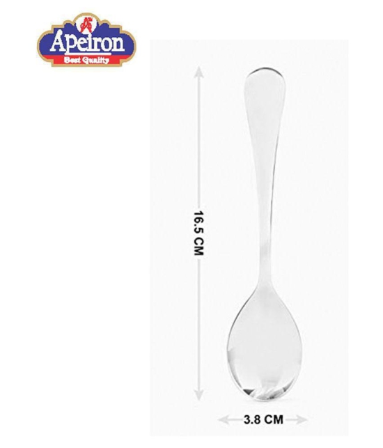 APEIRON 12 Pcs Stainless Steel Serving Spoon - Silver