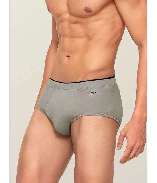 XYXX - Light Grey Cotton Blend Mens Briefs ( Pack of 1 ) - S