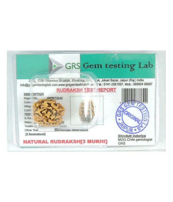 Rashi Ratan Bhagya Natural Rudraksha 3 Mukhi - India