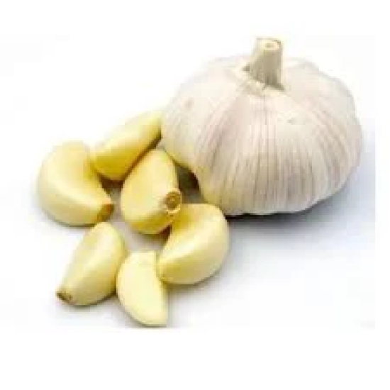 GARLIC