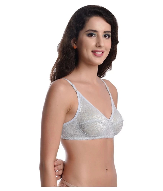 Madam Net/Mesh T-Shirt Bra - Grey Single - 38B