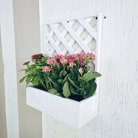 BARISH - Wall Mounted Planter - Single Square | Handcrafted with Rubberwood | Indoor Planter Frame with Stand 18 x 14 x 6 Inches