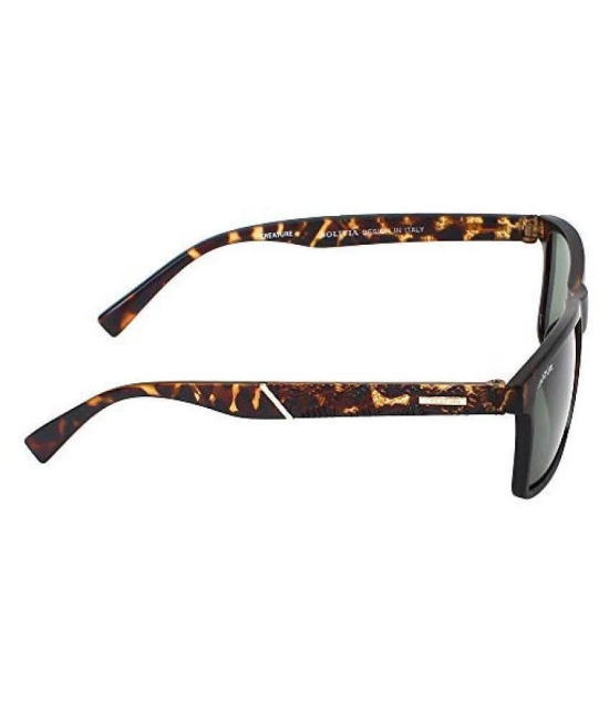 Creature - Brown Square Sunglasses ( Pack of 1 ) - Large