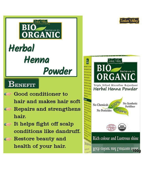 Indus Valley Pack of 2- Bio Organic Herbal Henna Powder 200g