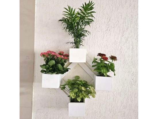 BARISH - Wall Mounted Planter - Diamond | Handcrafted with Rubberwood | Indoor Planter Frame with Stand 25 x 25 x 6 Inches - White