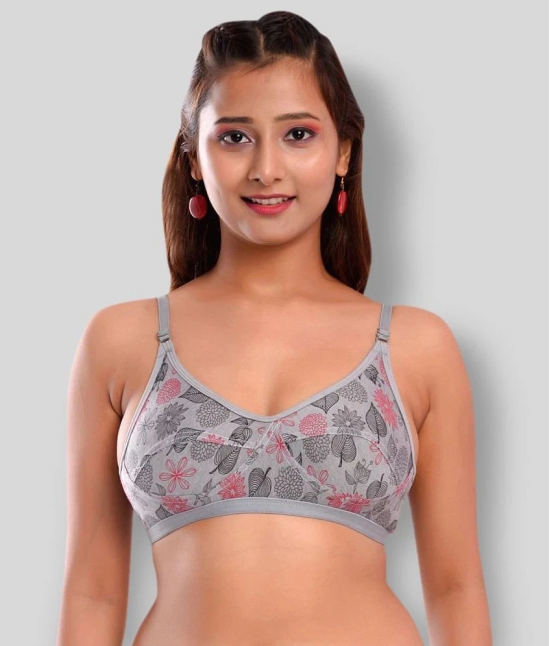 Elina Pack of 1 Cotton Non Padded Womens T-Shirt Bra ( Grey ) - 40B