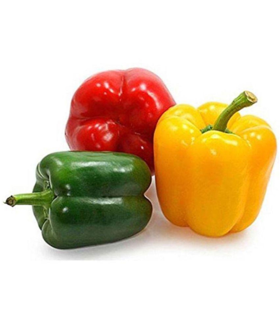 Creative Farmer Pepper Agro Capsicum F1 Colored Seeds Seed