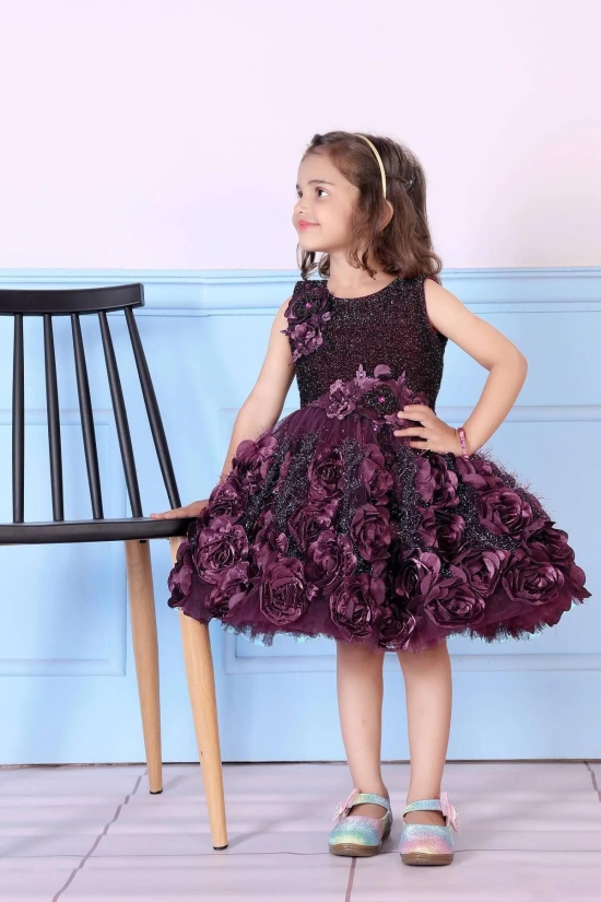 Childbird Wine Color Net Flower Girl's Party Dress-3-4 Year