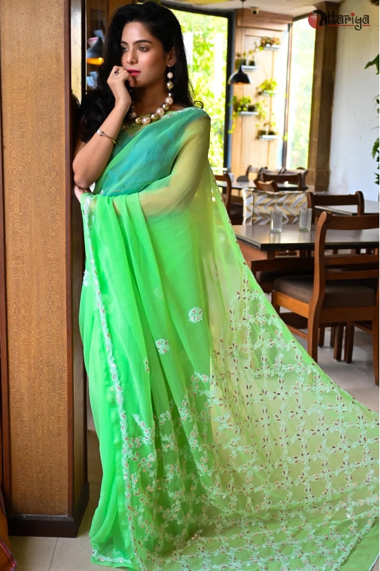 Lucknowi Saree