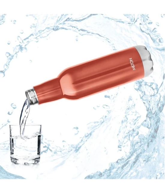 Milton Themosteel Pride 600 Bottle for (Hot & Cold) Beverage - Red - Rose Gold