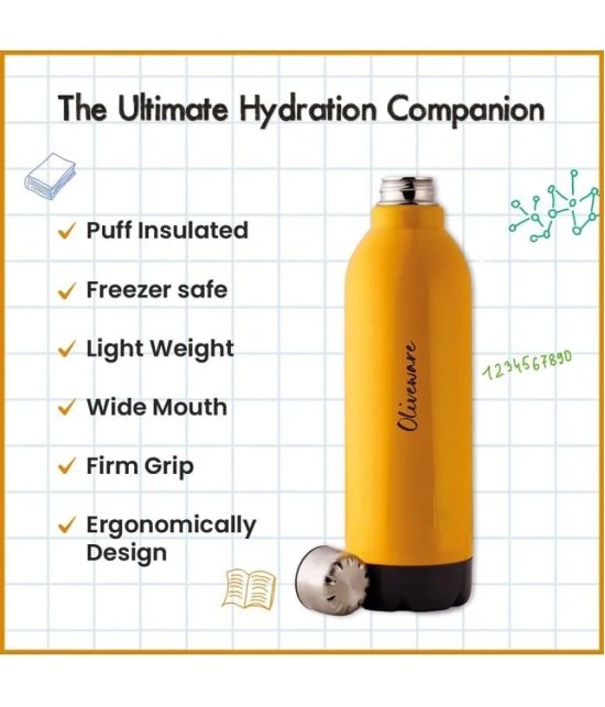 Oliveware Yellow Water Bottle 600 ml mL ( Set of 1 ) - Yellow