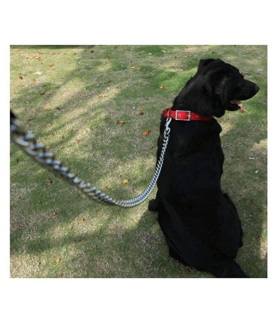 Buy Dog Belt Combo Of Dog Collar Belt With Dog Chain Specially For All Dogs Lengthy Dog Collar Chain Color May Vary Large Online in India Khojle by Jagran