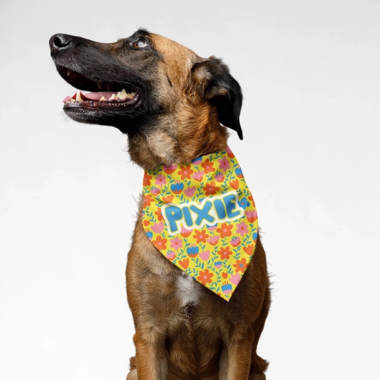 PawsIndia Customized Pet Bandana - Floral - Mustard-Small