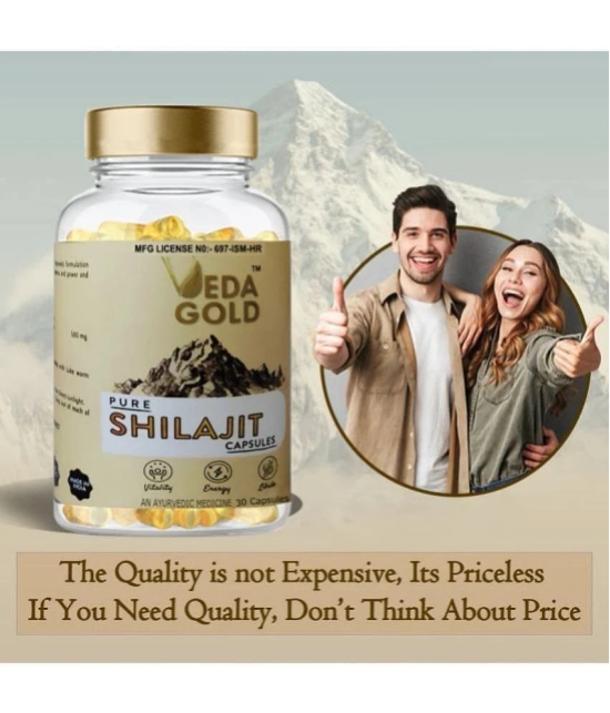 VEDA GOLD SHILAJIT CAPSULES FOR MEN & WOMEN / PURE HIMALAYAN SHILAJIT IN 30 CAPSULE FORM 100% PURE