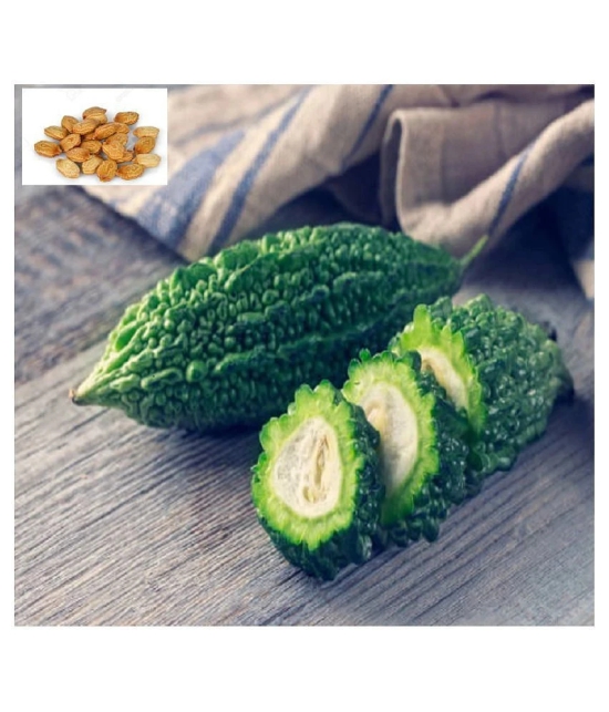 Recron Seeds Bitter Gourd Vegetable ( 15 Seeds )