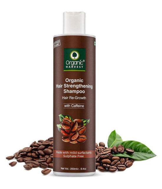 Organic Harvest - Daily Care Shampoo 250 ml (Pack of 1)