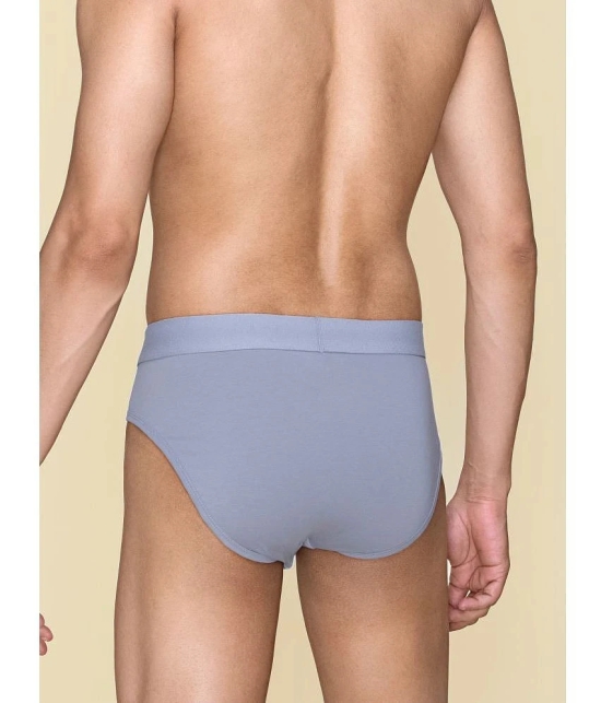 XYXX - Light Grey Cotton Mens Briefs ( Pack of 1 ) - None