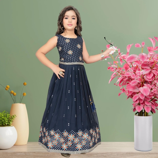 Navy Blue Pleated Rich Border Lehenga/Ghagra With Multi-color Embroidery Choli-26 (5-6 years)