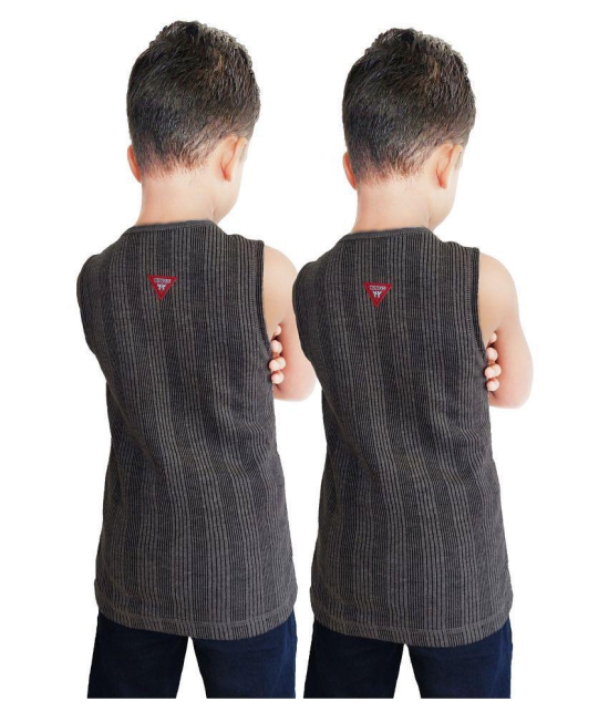 HAP Kids Sleeveless Top (Pack Of Two) Grey | For Boys & Girls |Winter Inners - None