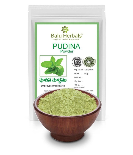 Balu Herbals Pudina Powder 100G Powder 100 gm