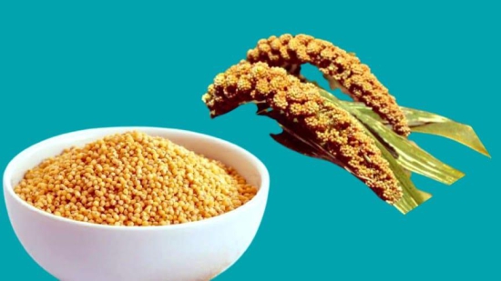 Foxtail Millets