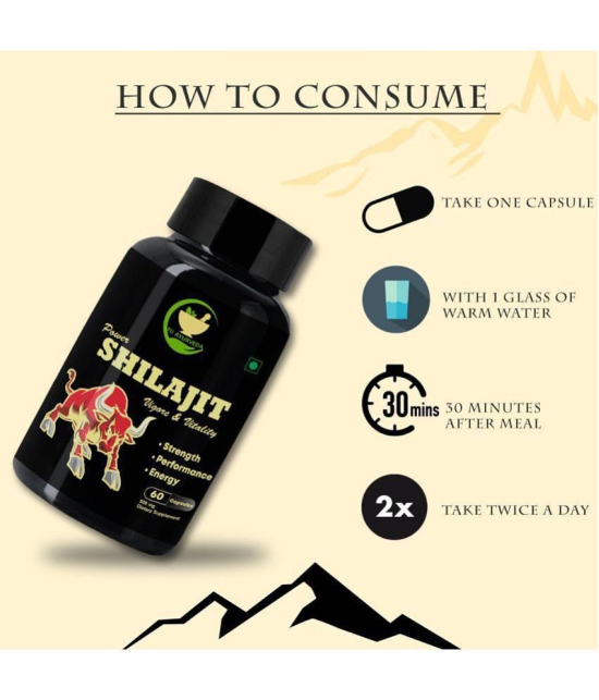 FIJ AYURVEDA Power Shilajit  Extract Capsule for Men & Women - 500mg 60 Capsules (Shilajit Pk 2)