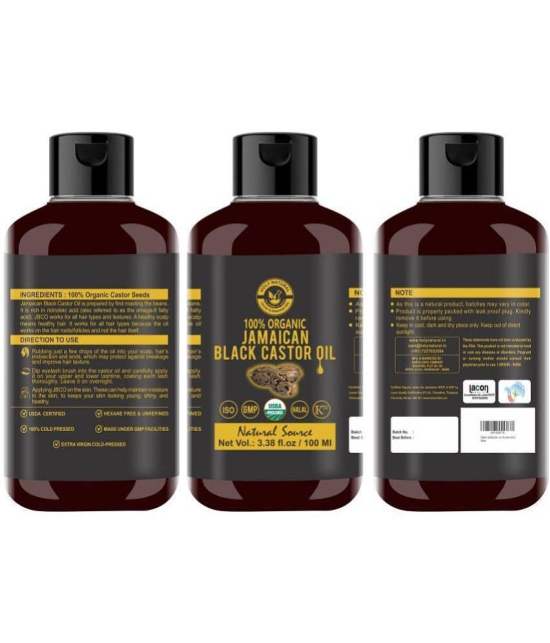 Holy Natural Hair Growth Castor Oil 100 ml ( Pack of 1 )