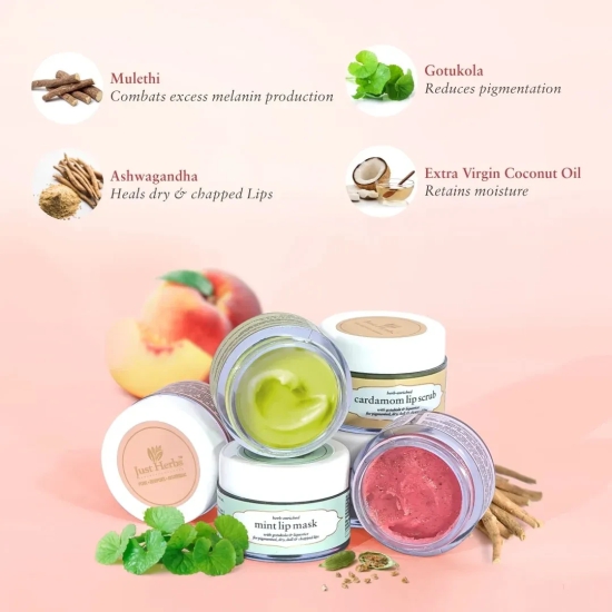 Herb Enriched Lip Scrub & Mask Duo 15 g cardamom_combo