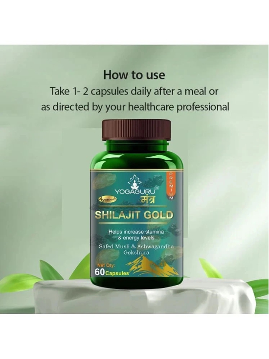 Shilajit Gold | Premium Vitality | Ayurvedic Supplement for Men 60 Capsules