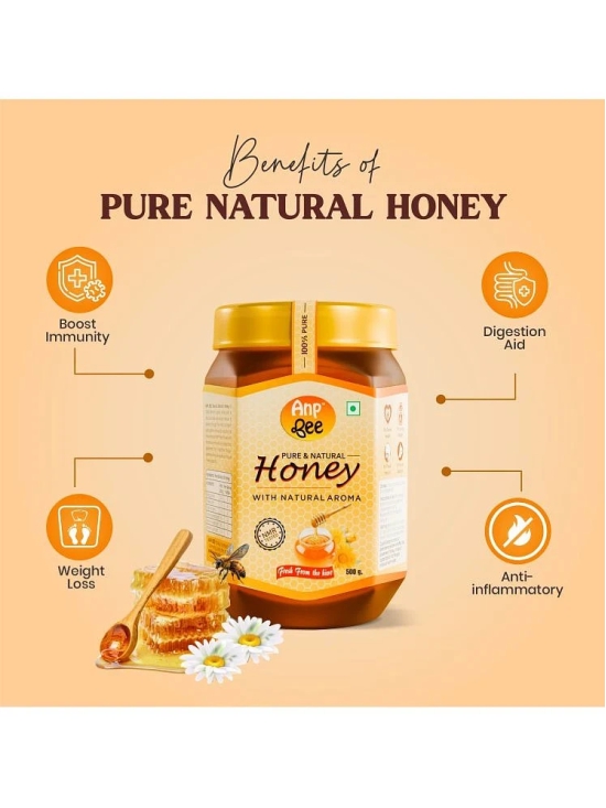 ANP BEE 100% Pure NMR Tested Honey Raw Natural Honey 500 g