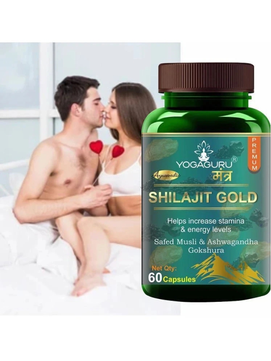 Shilajit Gold Capsules 60 Cap