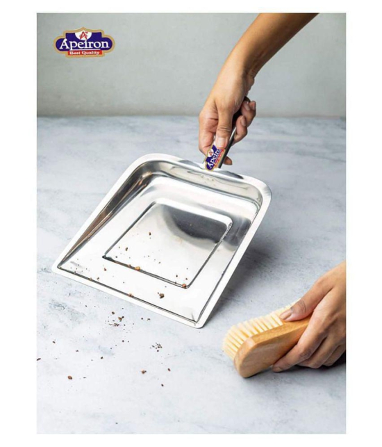 APEIRON Stainless Steel Without Brush Dust Pan