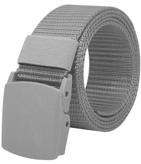 Loopa Multi Nylon Casual Belt Pack of 2 - None