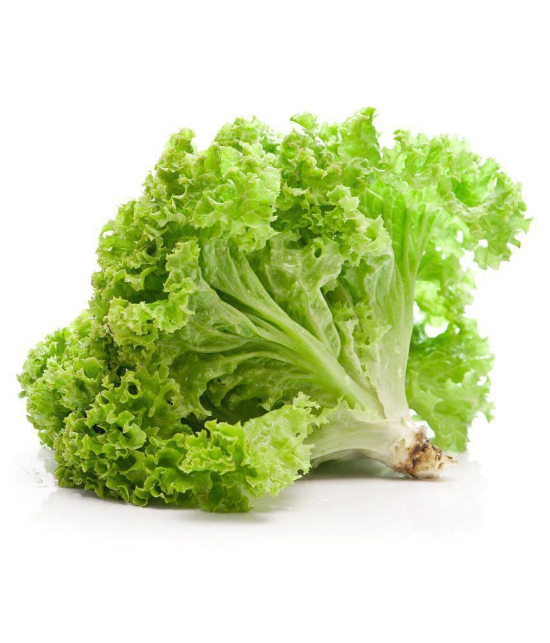 Vegetable Seeds Lettuce Seeds For Gardening Seeds - Lettuce Green â??Seeds SeedsÂ Organic Home Garden Seeds