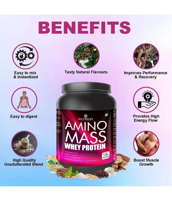 Nutriley Amino Mass Whey Protein ( 500 gm , Banana - Flavour )