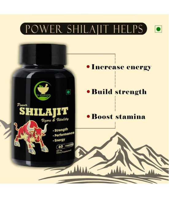 FIJ AYURVEDA Power Shilajit  Extract Capsule for Men & Women - 500mg 60 Capsules (Shilajit Pk 2)