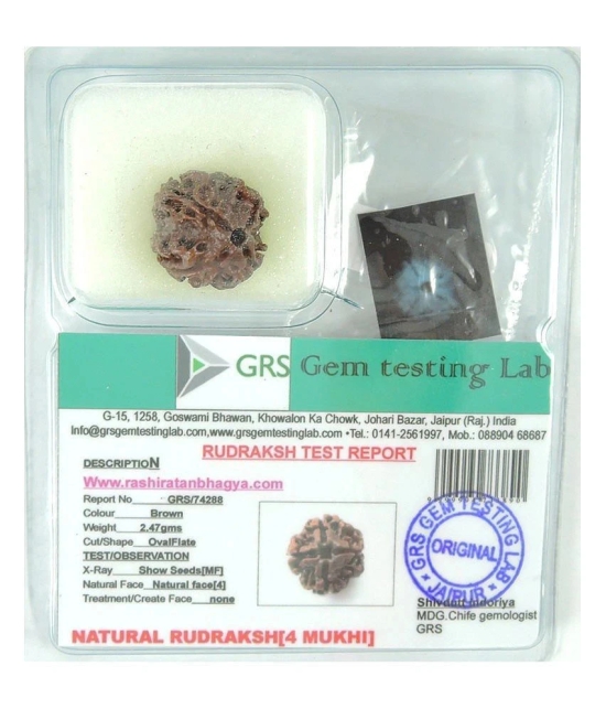 Rashi Ratan Bhagya Natural Rudraksha 4 Mukhi - Nepal