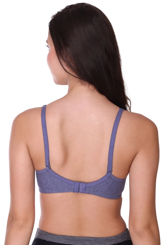 SONA Womens All Day Full Coverage Non Padded Cotton Bra-36 / C / GREY