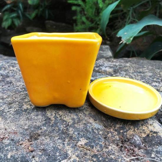 On the Move Ceramic Pot With Tray-Orange