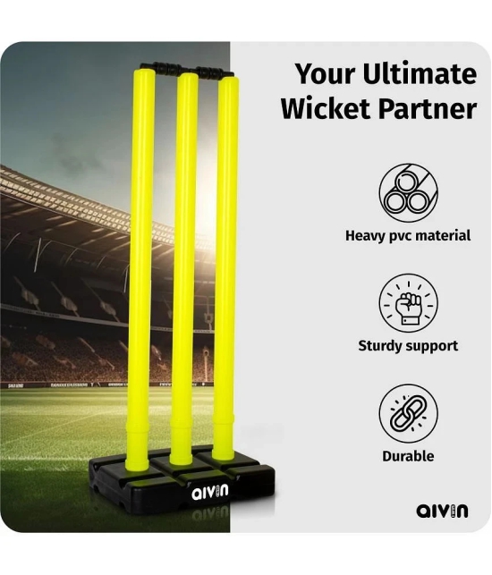 Aivin Stumps & Bails ( Pack of 2 )