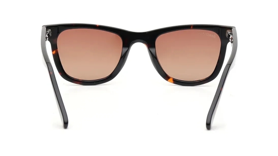 Brown Wayfarer Sunglasses for Men