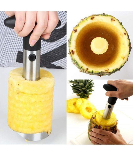 KALPVRUKSH ENTERPRISE - Multicolor Stainless Steel Pineapple Corer ( Pack of 1 ) - Multicolor